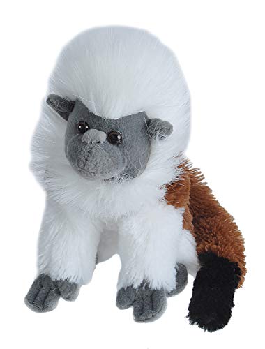 Wild Republic - CK Mini tití cabeza blanca de peluche, 20 cm (12277)