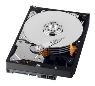 Disque dur interne PATA Western Digital Caviar 500 Go pour album photo de famille - 5