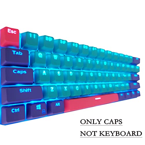 Image of WHYSP PBT Keycaps 60% for 60 Percent Keyboard OEM Profile Backlit Key Cap Replacement 6.25U Space Bar