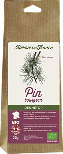 L'herbier de France Bourgeons de Pin Biologique Sachet Kraft, 25 g