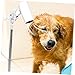 CALLARON PET Grooming Hair Dryer Floor Stand Holder Adjustable Height Hands-Free Blower Fixator for Dogs and Cats Sturdy PET Grooming Accessory