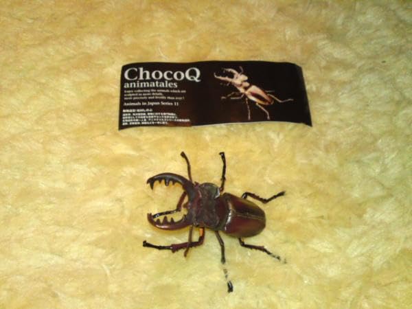 Amazon.co.jp: チョコQ 第11弾 ミヤマクワガタ（エゾ型） : ペット用品