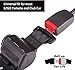 10L0L 2-Point Golf Cart Seat Belts, 42