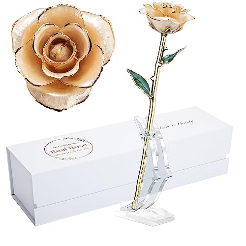 Image of 24K Gold Dipped Rose, Gold Dipped Rose Made from Real Rose Best Gifts for her and Great Gifts for My Love, Ivory with Stand
