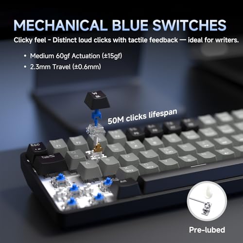 Image of Dierya DK68 Wireless Gaming Keyboard - 68 Keys Mechanical Keyboard USB-C /Bluetooth /2.4G, RGB Lighting, Clicky Blue Switch, QWERTY Layout, Black /Grey