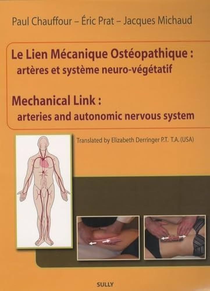 Amazon.fr - Le lien mécanique ostéopathique : Artères et système