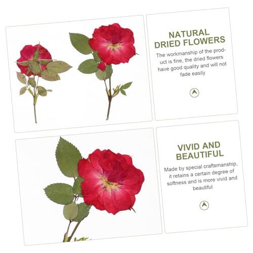 Flores secas rosas para decoración y manualidades miniatura 5