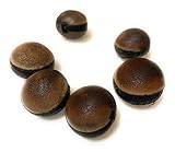 (6 Count) Ojo de venado, Deer’s Eye Seed. UNDRILLED, NO PERFORADO