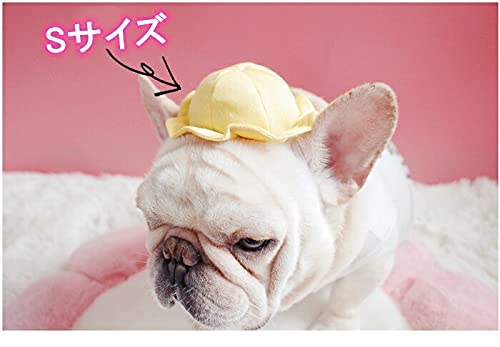 犬　ブルドック　コスチューム　コスプレ　子供　帽子　ハンドメイド　生活発表会　春 Amazon | 【24HOURS】ペット帽子 犬 猫用 かわいい フレンチブルドック