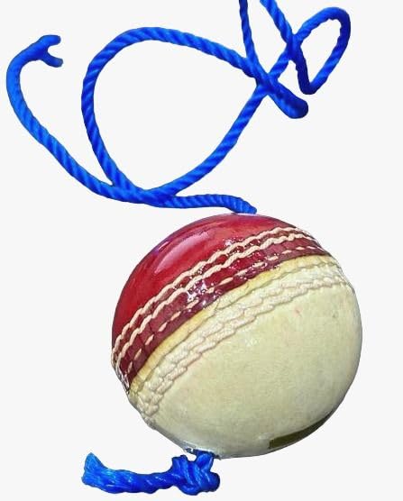 Hanging Ball, Practice Cricket Ball with Rope, Knocking Ball Cricket Training Ball (Pack of 1)-picture-15