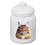 Best of Breed Maine Coon Brown Cat Dog and Cat Ceramic Treat Jar 9" Tall Air Tight Seal All White
