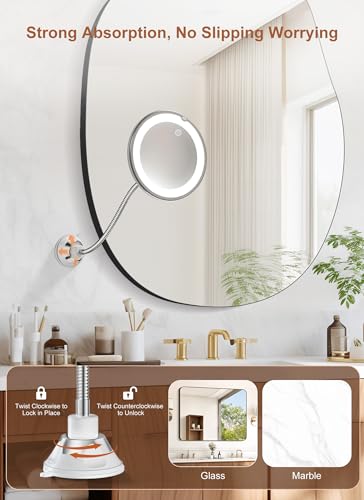 Image of 10x Magnifying Mirror with Light,Gooseneck Travel Make up Mirror 3 Lighting