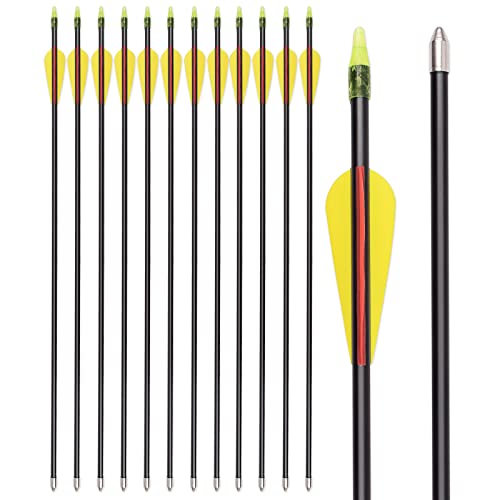 SZEO Archery Arrows 28 inch Fiberglass Practice Hunting and Target Arrows for Compound Recurve Bow (12pcs)
