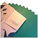 Green Origami Paper | 100 Sheets, 6” Square | Pantone 341