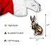 North Star Christmas | Bunny with Wreath Glass Ornament | Christmas Collection