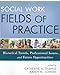 Social Work Fields of Practice: Historical Trends, Professional Issues, and Future Opportunities