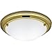 Progress Lighting P3561-10 Eclipse Polished Brass Flush Mount Finish: Brushed Steel, Electronic Ballast: No