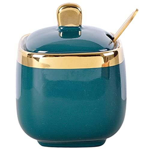 Cabilock 1Set Spice Jar Compact Household Condiment Container with Scoop for Storing Salt Sugar and Spices Elegant Design for Kitchen and Dining