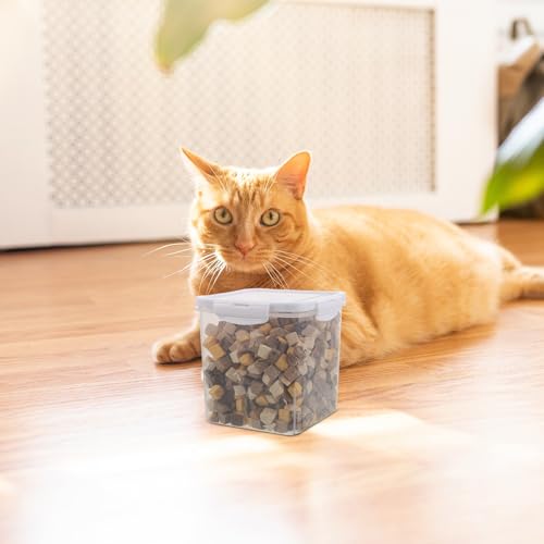 Ciieeo Trockene Leckerlis für Katzen und Kätzchen – Zahnpflege-Kauartikel mit Schweineleber, Eigelb und Hühnchen, Funktionelle Snacks, vitaminangereichert, für drinnen und draußen, 500 g