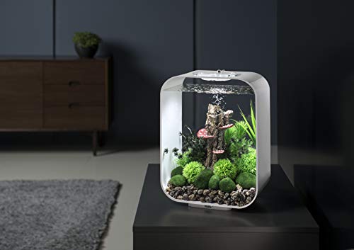 biOrb Life 15 Acrylic 4-Gallon Aquarium with White LED Lights Modern Compact Tank for Tabletop or Desktop Display, White by biOrb - Image 3