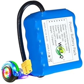 Amazon.co.jp: 電動自転車用バッテリー: スポーツ＆アウトドア