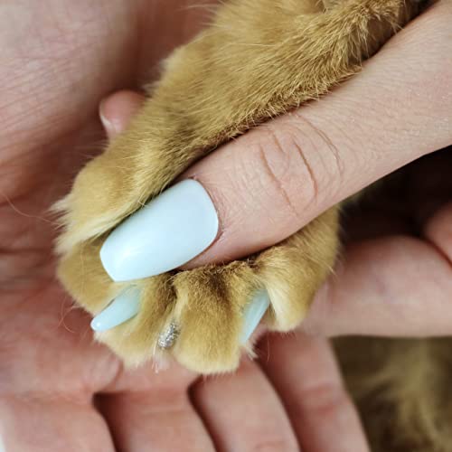 Image of Cat Nail Caps for Cats with Matching Acrylic Press-On Nails for Humans (Large, Light Blue with Silver Accent)