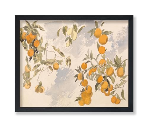 Poster Master Vintage Clementine Poster - Retro Watercolor Print - Gift for Artist, Friend - Orange, Lemon, Branch, Fruit Tree, Still Life - Wall Decor for Home, Kitchen, 18x24 Unframed Wall Art