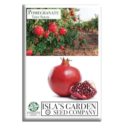 Pomegranate Tree Seeds (Punica granatum) – 30+ Non-GMO Fruit Tree Seeds for Planting, Beautiful Ornamental Tree with Sweet Edible Fruit, by Isla’s Garden Seeds, Gift Idea