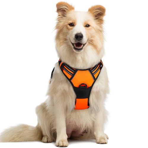 Image of rabbitgoo Dog Harness No Pull with 2 Leash Clips, Adjustable Soft Padded, Reflective Oxford No Choke Pet Vest with Easy Control Handle for Medium Sized Dogs,Orange, M