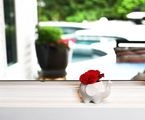 Flower Pot For House Plants-Plant Pots For Indoor & Outdoor Use (Mama Elephant) By Arad #TOP3