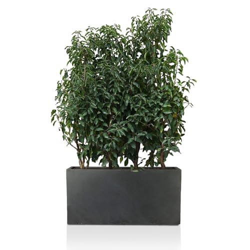 IDEALIST Large Plant Pots Outdoor Trough Planter 100 cm | Garden Planters with Drainage Holes | Dark Grey Concrete Effect Rectangle Plant Pot L100 W36 H51.5 cm, 137 litres