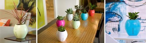 Grobal Self Watering Pot - Mint