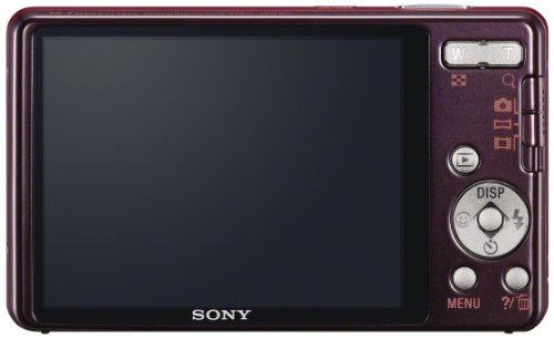 Image of Sony Cyber-Shot DSC-W690 16.1MP Point and Shoot Camera (Red) with 10x Optical Zoom, 4GB Card and Camera Case