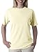 Comfort Colors Garment Dyed Heavyweight Ringspun Short Sleeve Shirt - 1717