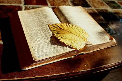 Page de couverture de Eleventh Sunday after Trinity – September 7, 2025 – Rev’d Davidson Morse