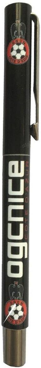 OGC Nice Parker Fountain Pen