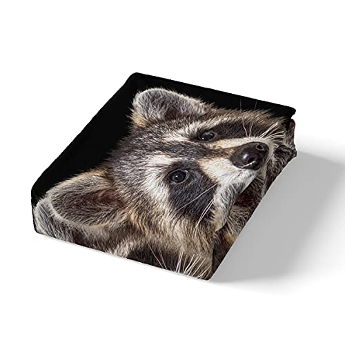 Loussiesd Raccoon Bedding Set Kids Brown Raccoon Panda Duvet Cover Set 3D Raccoon Animal Pattern Bed Set Soft Microfiber Bedclothes with 2 Pillowcase King Size Bed Cover - Image 3