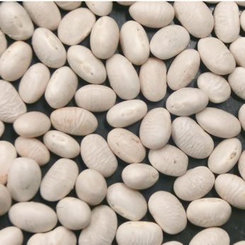 AS Ji_Y Si񂰂j 30kg prFƖp