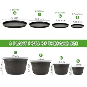 Quarut 12 Inch Large Planter Pot for Plants Indoor Outdoor, 4 Pack Plastic Flower Pots with Drainage Hole & Tray, Modern Decorative Garden Pot with Saucer, Plant Container for House(Brown) Quarut 12 Inch Large Planter Pot for Plants Indoor Outdoor 4 Pack Plastic Flower Pots with Drainage Hole Tray Modern Decorative Garden Pot with Saucer Plant Container for HouseBrown