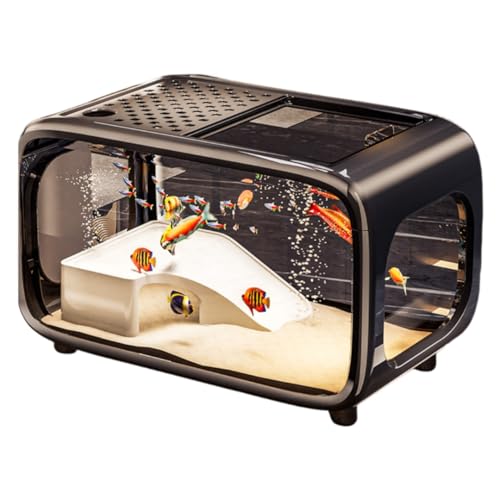 NYHGOXM Zbg Wt ^ AN y CeA rOE֒u Zbg  (ubN,{)