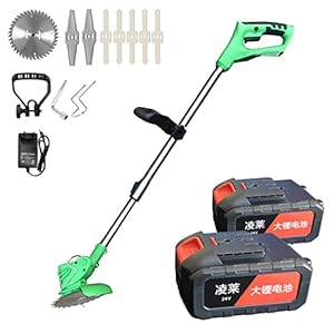 Grasmaaier,Met 8 Accessoires,Uitschuifbaar,21V,2 Extra Grote Accu’s,22000Rpm,Accu Grasmaaier,Accu-Aangedreven Grasmaaier,Gazonmaaier,Voor Tuinen Binnenplaats Gazon,Green-24VD-typehandle(2extrabatteries)