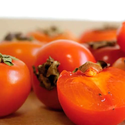 Genérico, Muda de Caqui Rama Forte 50 a 80cm AMK - Plantas Online