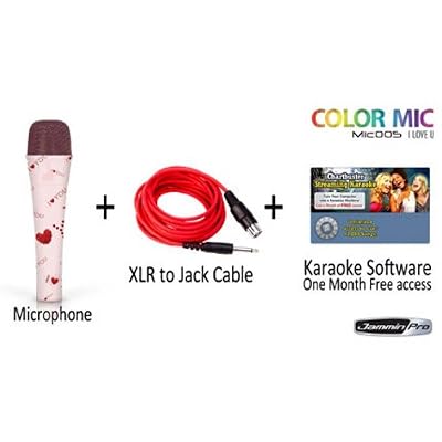 I Love U HANDHELD KARAOKE MIC