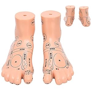 Acupunctuur Voet Model, Acupunctuur Onderwijs 19cm/7.5in Voeten Voet Model voor Massage voor Onderwijs Accessoire voor…