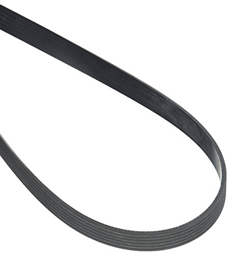 Motorcraft JK6891 Belt courroie alternateur et pompe de direction striée
