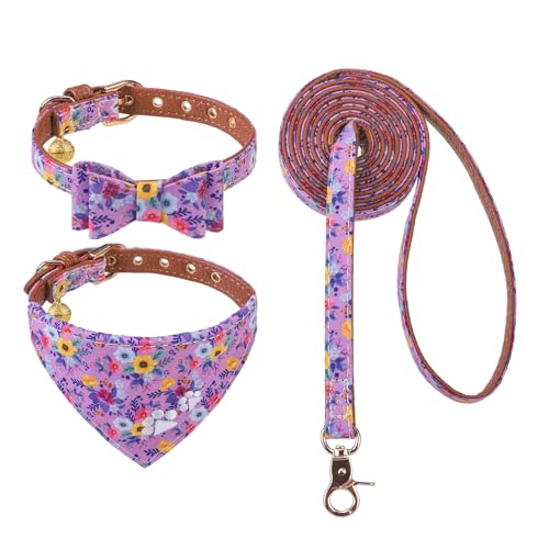 EXPAWLORER Set con collare e guinzaglio per cuccioli, set di collare e guinzaglio per cani con ricamo floreale, grazioso papillon con fiore e bandana, collare per cani e guinzaglio, per cani e gatti,