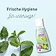 IMPRESAN Desinfektion Handgel Minze-Bergamotte Limited Edition | Desinfektionsmittel für die Hände in praktischer Reisegröße | 55 ml