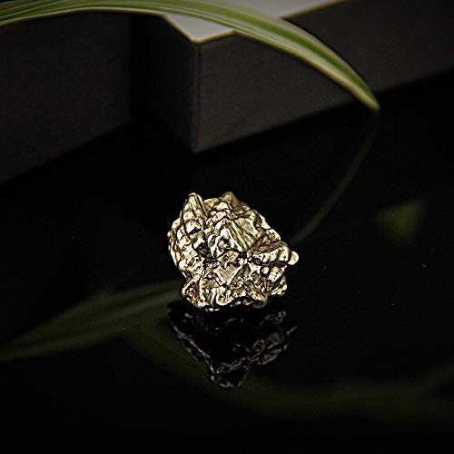 Pheeya Large Massive 10-330 Grams Meteorite Specimen, Campo Del Cielo Meteorite with Gift Box, Moon Rock Sample, Astronomy Gifts for Space Fans, Great for Science Classrooms, Rocks Collection