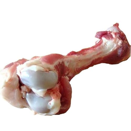 Y ؑK 10kg 󂠂 X[vp ؍E؂ R[QՂ X[vEo`p [Ɩp