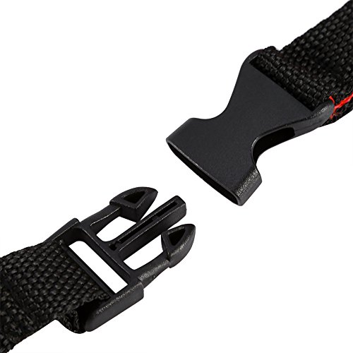 Allungamento al guinzaglio Bungee Regolabile